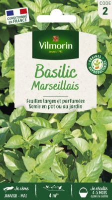 Graines de basilic variété "Marseillais" Vilmorin semis de mars à mai