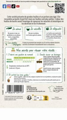Graines de basilic variété "Marseillais" Vilmorin semis de mars à mai