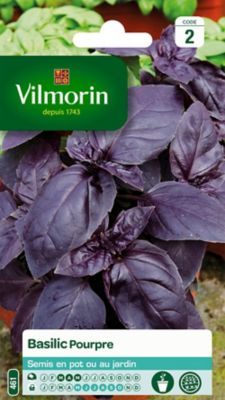 Graines de basilic variété "Pourpre" Vilmorin semis de mars à mai