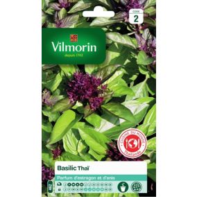 Graines de basilic variété "Thaï" Vilmorin semis de février à mai