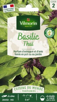 Graines de basilic variété "Thaï" Vilmorin semis de février à mai