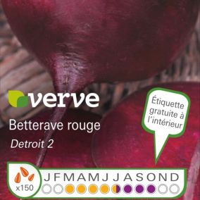 Graines de betterave variété "Detroit 2" Verve semis de mars à juillet