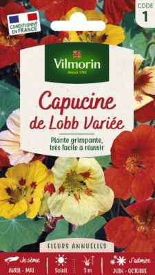 Graines de Capucine de Lobb Variée Vilmorin