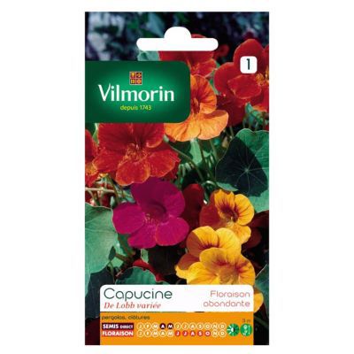 Graines De Capucine De Lobb Vilmorin - Grimpante, Fleurs Multicolores, 1 Sachet