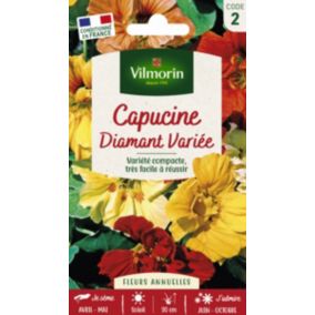 Graines de Capucine Diamant mix
