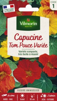 Graines de Capucine Tom Pouce Variée Vilmorin
