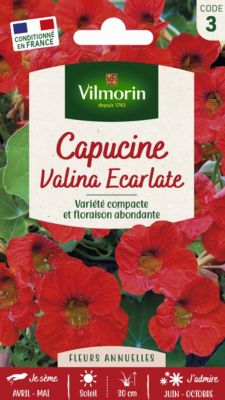Graines de Capucine Valina Ecarlate Vilmorin