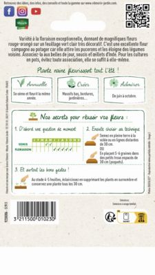 Graines de Capucine Valina Ecarlate Vilmorin
