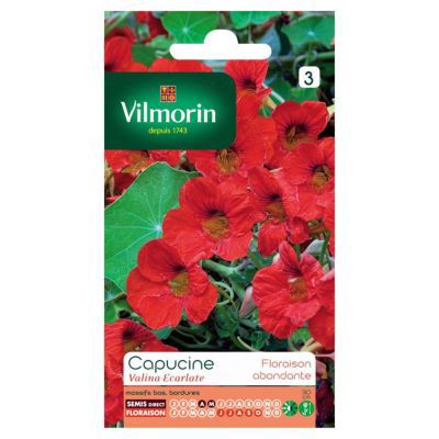Graines de Capucine Valina Ecarlate Vilmorin
