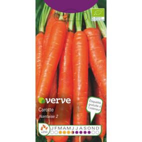 Graines de carotte bio variété "Nantaise 2" Verve semis de mars à juin