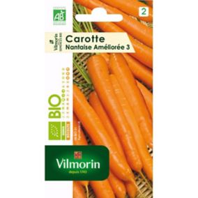 Graines de carotte bio variété "Nantaise améliorée 3" Vilmorin semis de mars à juillet