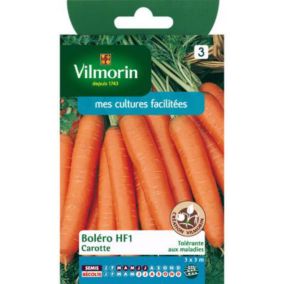 Graines de carotte variété "Boléro HF1" Vilmorin semis de mars à juillet