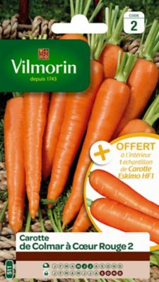 Graines de carotte variété "Colmar à cœur rouge" Vilmorin semis de mai à juillet