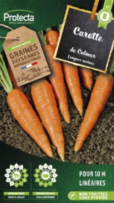 Graines de carotte variété "Colmar" Protecta semis de mars à juillet