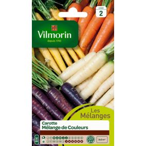 Graines de carotte variété "Mélange de Couleurs" Vilmorin semis de mars à juillet