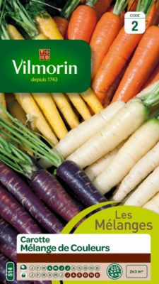 Graines de carotte variété "Mélange de Couleurs" Vilmorin semis de mars à juillet