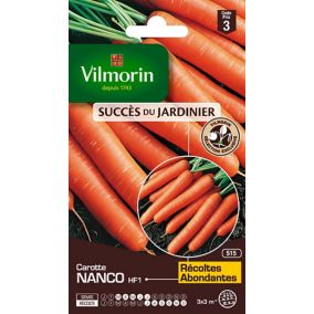 Graines de carotte variété "Nanco HF1" Vilmorin semis de mars à juillet