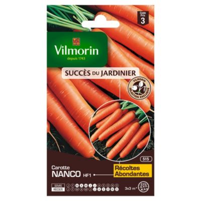 Graines de carotte variété "Nanco HF1" Vilmorin semis de mars à juillet