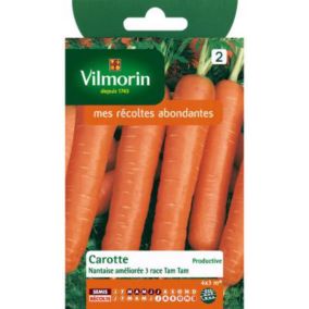 Graines de carotte variété "Nantaise Améliorée 3 Tam Tam" Vilmorin semis de mars à juillet