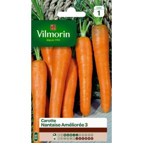 Graines de carotte variété "Nantaise améliorée 3" Vilmorin semis de mars à juillet