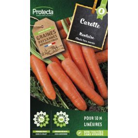 Graines de carotte variété "Nantaise" Protecta semis de mars à juillet