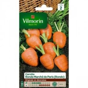 Graines de carotte variété "Ronde Marché de Paris" Vilmorin semis de mars à juillet