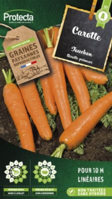 Graines de carotte variété "Touchon" Protecta semis de mars à juillet