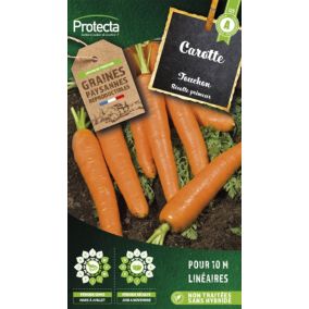 Graines de carotte variété "Touchon" Protecta semis de mars à juillet