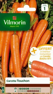 Graines de carotte variété "Touchon" Vilmorin semis de février à juin