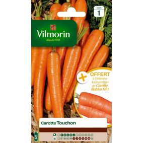 Graines de carotte variété "Touchon" Vilmorin semis de février à juin