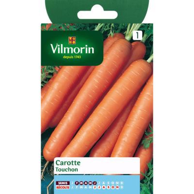 Graines de carotte variété "Touchon" Vilmorin semis de février à juin