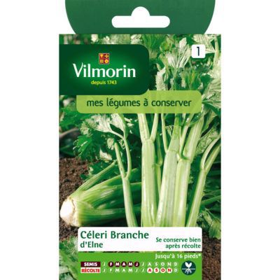 Graines de Céleri Branche d'Elne Vilmorin