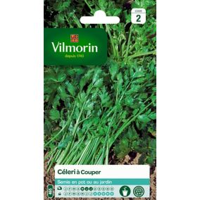 Graines de céleri variété "À couper" Vilmorin semis de mai à juillet