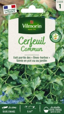 Graines de cerfeuil variété "Commun" Vilmorin semis toute l'année