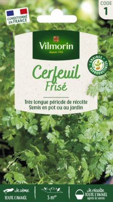 Graines de cerfeuil variété "Frisé" Vilmorin semis toute l'année