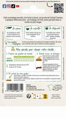 Graines de cerfeuil variété "Frisé" Vilmorin semis toute l'année