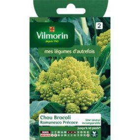 Graines de chou brocoli variété "Romanesco Précoce" Vilmorin semis de mars à juillet
