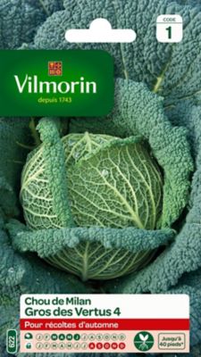 Graines de chou de Milan variété "Gros des Vertus 4" Vilmorin semis de mars à juin