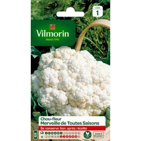 Graines de chou-fleur variété "Merveille de Toutes Saisons" Vilmorin semis de janvier à juin