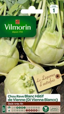 Graines de chou rave variété "Blanc Hâtif de Vienne" Vilmorin semis de mars à juin