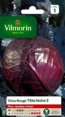 Graines de chou rouge variété "Tête noire 3" Vilmorin semis de mars à mai