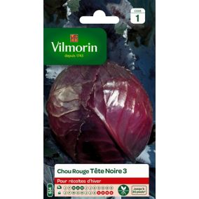 Graines de chou rouge variété "Tête noire 3" Vilmorin semis de mars à mai