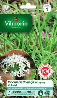 Graines de ciboule variété "Chine Kobold" Vilmorin semis de février à mai et de septembre à octobre