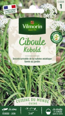 Graines de ciboule variété "Chine Kobold" Vilmorin semis de février à mai et de septembre à octobre