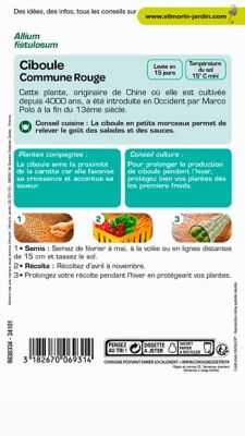 Graines de ciboule variété "Commune rouge" Vilmorin semis de février à mai