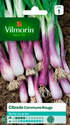 Graines de ciboule variété "Commune rouge" Vilmorin semis de février à mai