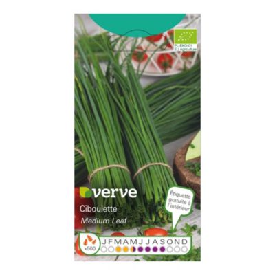 Graines de ciboulette bio variété "Ciboulette" Verve semis de mars à mai