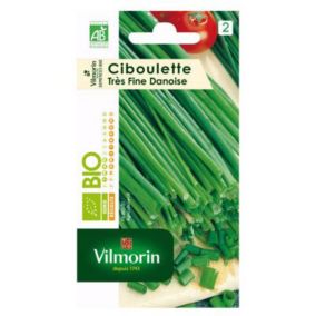 Graines de ciboulette bio variété "Très fine Danoise" Vilmorin semis de février à mai