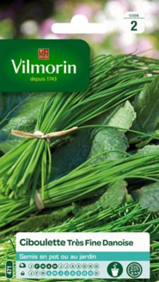 Graines de ciboulette variété "Civette" Vilmorin semis de février à mai