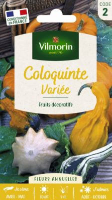Graines de Coloquinte en Mélange Vilmorin